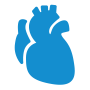 Cardiovascular